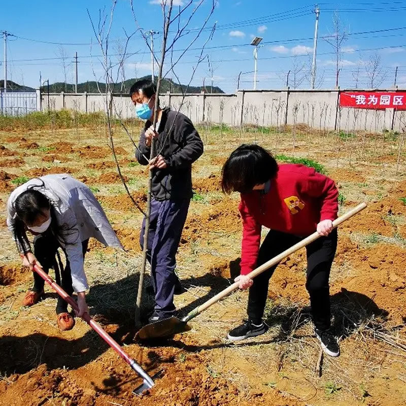 3月12日植樹節(jié)：讓綠色理念生根發(fā)芽！